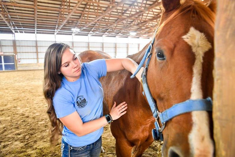 图为达里安·本德正在给学院的四分之一匹马刷牙, 今年春天毕业并获得了动物科学专业的AAS学位. 她在今年秋天开始参加SAGE四年制学位课程.